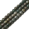Natural Green Apatite Beads Strands G-K350-C04-6mm-2