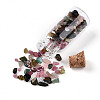 Glass Wishing Bottle Display Decorations AJEW-T013-02I-3