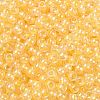 6/0 Glass Seed Beads SEED-T006-04F-09-3