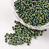 12/0 Opaque Colours Seep Glass Beads SEED-M008-C05-1