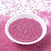 MIYUKI Round Rocailles Beads SEED-X0054-RR0355-2