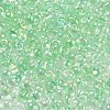 6/0 Inside Colours Glass Seed Beads SEED-A034-03A-3