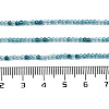 Transparent Glass Beads Strands X-GLAA-H027-01E-5