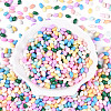 Baking Paint Glass Seed Beads SEED-T007-15M-1