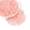 Baking Paint Transparent Glass Beads DGLA-T004-06H-3