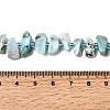 Natural Larimar Beads Strands G-L649-A07-01-5