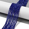 Natural Sodalite Beads Strands G-B088-C04-02-2