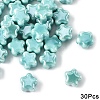 30Pcs Handmade Porcelain Bead PORC-YW0001-75I-1