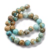 Dyed Natural Regalite/Imperial Jasper/Sea Sediment Jasper Beads Strands X-G-B124-C02-03-5