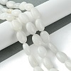 Natural White Jade Beads Strands G-K365-B04-01-2