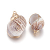 Electroplate Spiral Shell Pendants SSHEL-O019-26-2