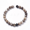 Natural Silver Leaf Jasper Beads Strands G-K181-4mm-O01-3