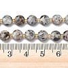 Natural Syenite Beads Strands G-K389-B86-01-5