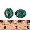 Natural African Turquoise(Jasper) Cabochons G-ZX005-08-3