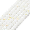 Opaque Glass Beads Strands LS-EGLA-A035-P6mm-L01-1