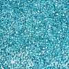 Baking Paint Transparent Glass Seed Beads SEED-N006-05K-3