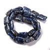 Natural Blue Spot Jasper Beads Strands G-T047-B10-01-3