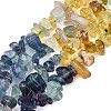 Natural Fluorite & Amethyst & Citrine(Heated) Beads Strands G-N371-02A-01-3