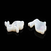 Natural White Shelll Beads SSHEL-N032-60-1