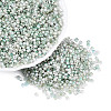 Baking Paint Glass Seed Beads SEED-Q041-03A-02-1