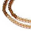 2 Colors Transparent Glass Beads Strands GLAA-G093-01J-3