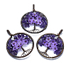 Natural Amethyst Pendants G-E529-A02-2