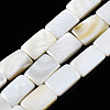 Natural Freshwater Shell Beads Strands SHEL-Q024-013-1