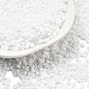 Frosted Opaque 12/0 Glass Seed Beads SEED-R029-2mm-A01-1