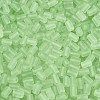 FGB Frosted Transparent Glass Seed Beads SEED-N013-05A-08-3