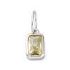 925 Sterling Silver Cubic Zirconia Charms STER-NH0014-01P-08-1