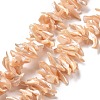 Natural Trochid Shell Beads Strands SSHEL-G023-05C-1