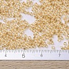 MIYUKI Delica Beads X-SEED-J020-DB0099-4