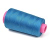 Polyester Machine Embroidery Threads FB-CBA4738-01I-2