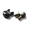 Natural Black Lip Shell Beads SHEL-G014-06A-4