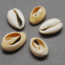 Natural Cowrie Shell Beads BSHE-Q296-1
