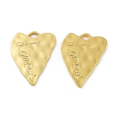 304 Stainless Steel Pendants STAS-F304-06G-02-1