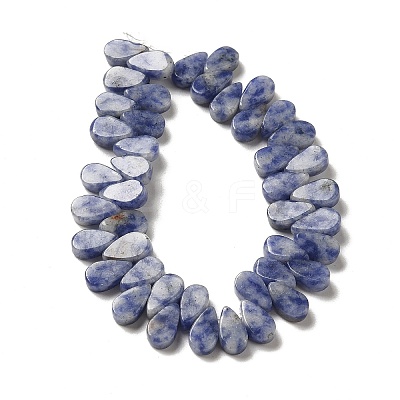 Natural Blue Spot Jasper Beads Strands G-B064-B59-1