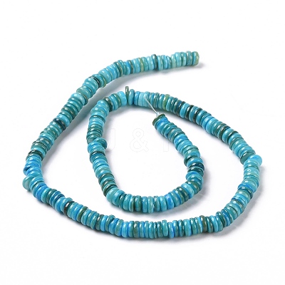 Shell Beads Strands SSHEL-E571-49J-1