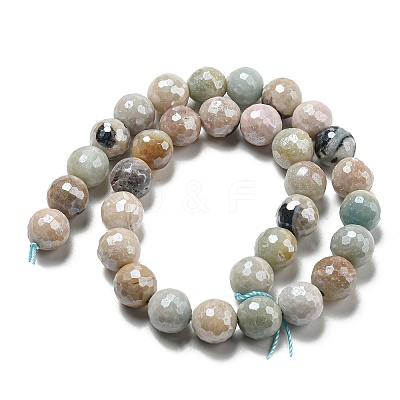 Natural Amazonite Beads Strands G-O164-02-12mm-1