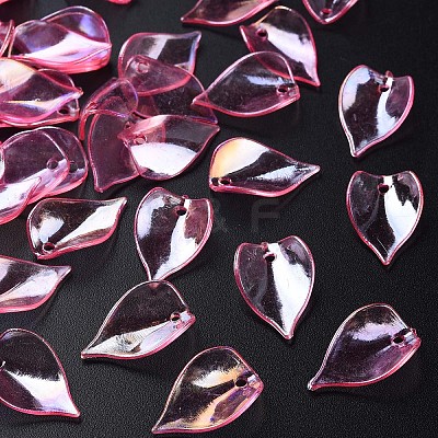 Transparent Acrylic Beads MACR-S373-103-C05-1