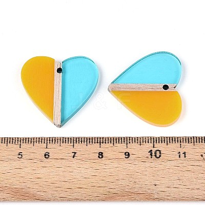 Transparent Resin & Wood Pendants RESI-T057-79-1