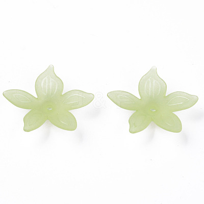 Transparent Acrylic Beads MACR-S373-127-D06-1