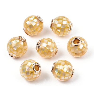 Natural White Shell Beads SSHEL-N034-131I-1