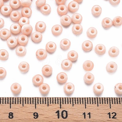6/0 Glass Seed Beads SEED-T005-14-B02-1