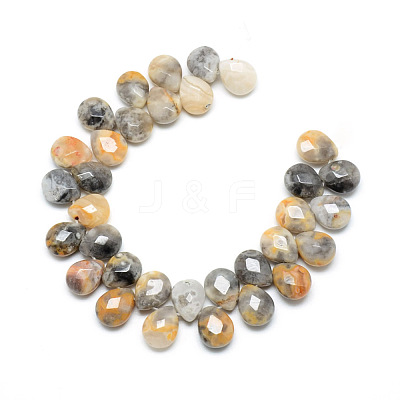 Natural Crazy Lace Agate Gemstone Beads Strands X-G-T006-10-1