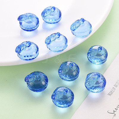 Transparent Acrylic Pendants TACR-T024-05B-940-1