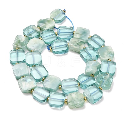 Natural Glass Beads Strands G-Z106-E01-1