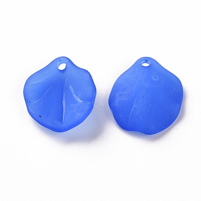 Transparent Frosted Acrylic Pendants MACR-S371-02A-751-1