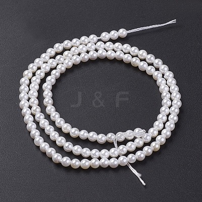 Shell Pearl Bead Strands BSHE-P023-5mm-1