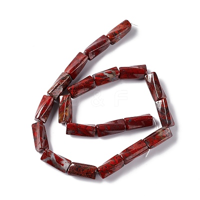 Natural Brecciated Jasper Beads Strands G-L240-14-1